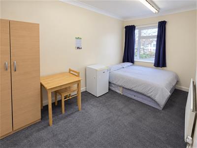 Picture 5